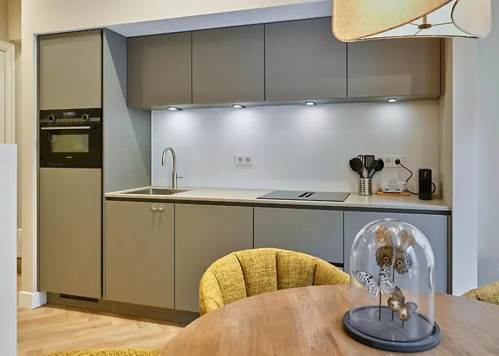 Jorisz Apartment Haarlem