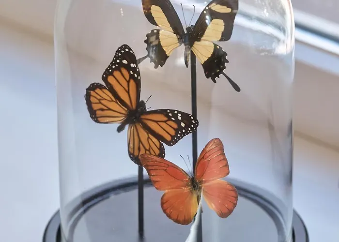 Jorisz Apartment Haarlem