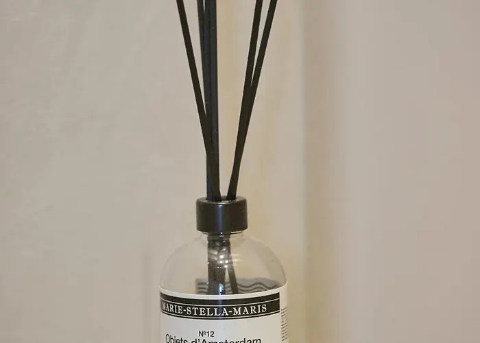 Apartment Jorisz Haarlem